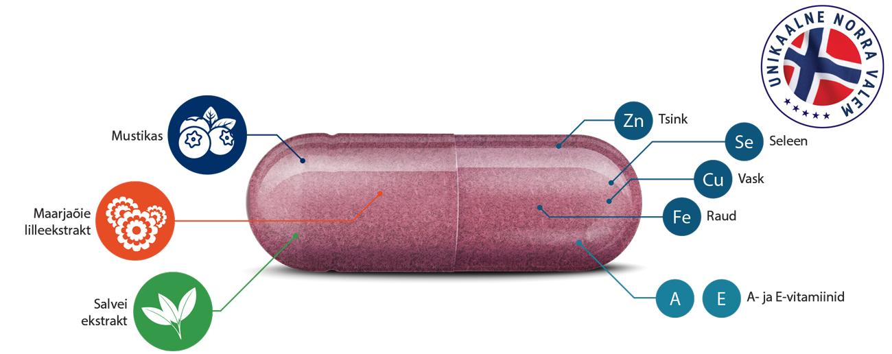 Natural Pharmaceuticals Vistan™ Roosa toidulisandi kapsel koos koostisosade graafilise kujutisega. Vasakul pool on näidatud taimeekstraktid: mustikas, saialilleekstrakt ja salvei. Paremal pool on märgitud mineraalid ja vitamiinid: tsink (Zn), vask (Cu), raud (Fe), seleen (Se), vitamiin A ja E.