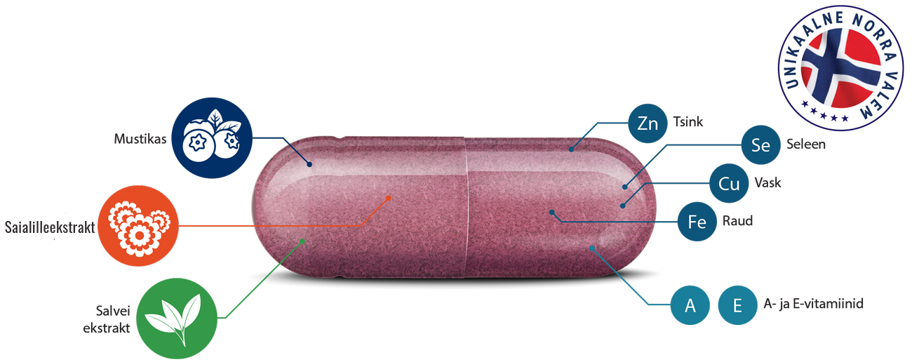 Natural Pharmaceuticals Vistan™ Roosa toidulisandi kapsel koos koostisosade graafilise kujutisega. Vasakul pool on näidatud taimeekstraktid: mustikas, saialilleekstrakt ja salvei. Paremal pool on märgitud mineraalid ja vitamiinid: tsink (Zn), vask (Cu), raud (Fe), seleen (Se), vitamiin A ja E.